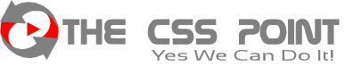 The CSS Point